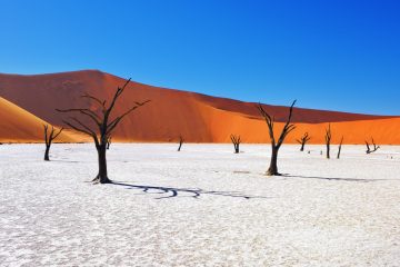 Namibia